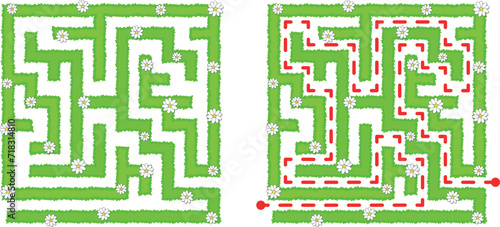 Green square hedge maze vector Illustration. Top view of the open air rectangular labyrinth made of garden bushes and grass. Education logic game for kids, preschool and school pupils. 