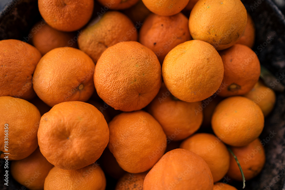 Recogida de naranjas en calle centrica del sur de españa