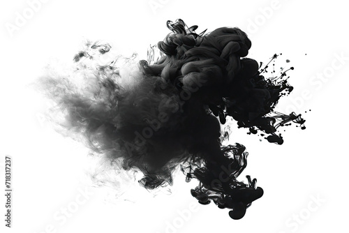 Abstract black in splash  paint  brush strokes  stain grunge isolated on background  Japanese style