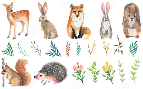 set of animals watercolor illustration on transparent background