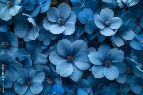 Collage of Monochromatic blue flowers, top view © Zaria