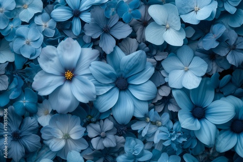 Collage of Monochromatic blue flowers  top view