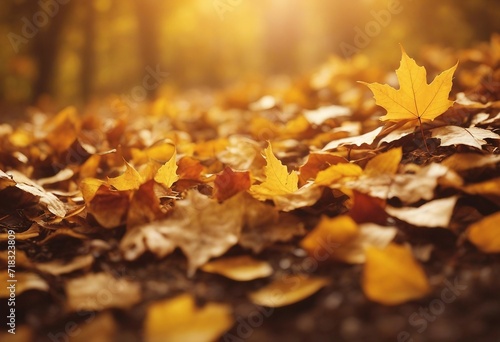 Mid Yellow Seasonal Wallpaper with Falling Autumn Leaves in Forest Natural Banner with copy-space
