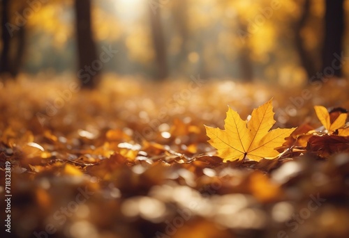 Mid Yellow Seasonal Wallpaper with Falling Autumn Leaves Natural Banner with copy-space