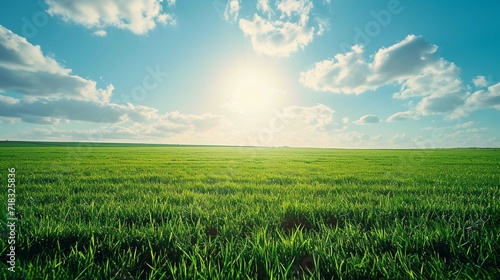 image of vast, lush green field under bright, clear sky. The grass is vibrant and well lit by the sunlight. In the background with minimal clouds offering an open and airy atmosphere Ai Generated © Manzoor