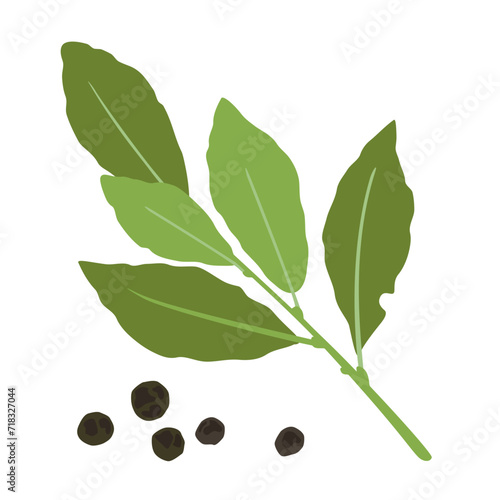 Sprig with bay leaves. Black pepper. Spices. Cooking. Vector illustrations. Isolated objects on white background.