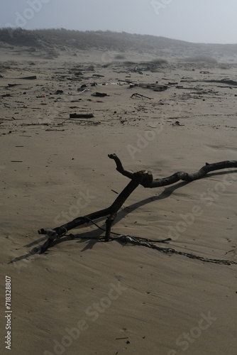 A dirty beach after a storm in winter. Cap Ferret, France - January 23, 2024.
