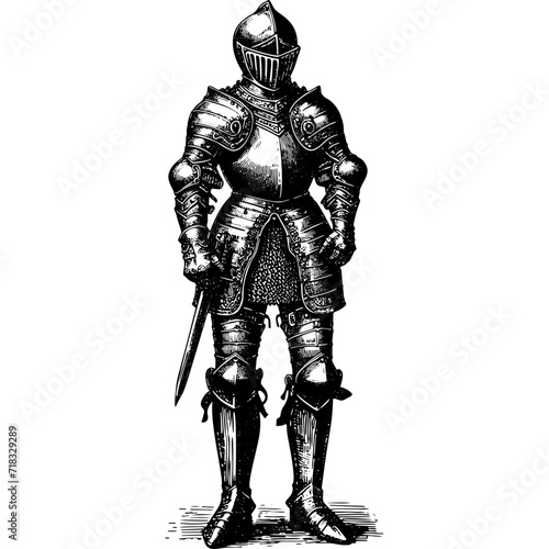 Knight In Full Plate Armour