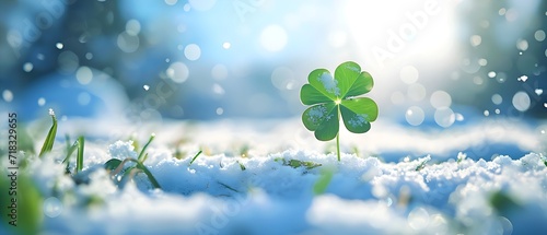 Single good luck four-leaf clover in meadow with snow an with copy space for text. Vertical Background banner for best wishes and unique, rare, strong and special individual concept. photo