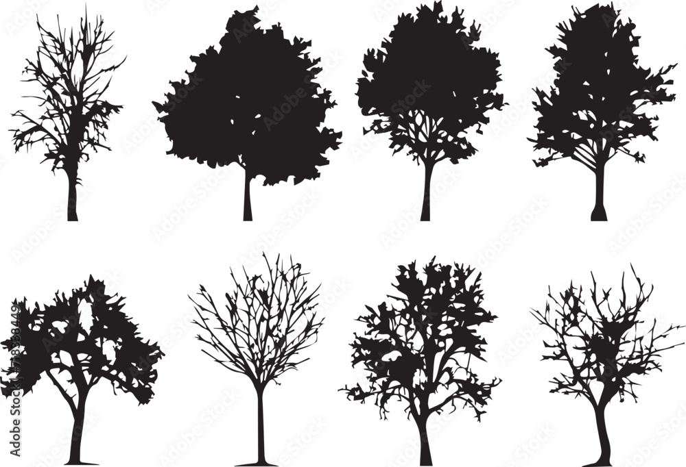 Obraz premium Set Trees. Hand drawn vector illustration