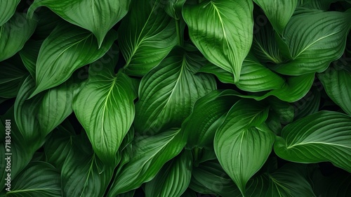 Abstract Green Texture of Tropical Leaf Generative AI