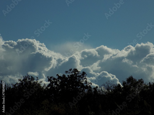 clouds in the sky, clouds in the sky with trees, shining light clouds in the blue sky look like a snow avalanche