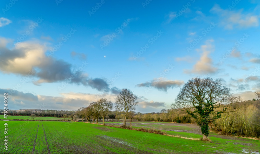 landscape with trees and blue sky, Cold Hiendley landscape with trees and blue sky, Cold Hiendley
