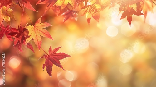 Web Banner Design for Autumn Season
