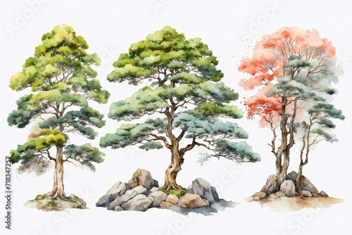 watercolor japanese trees on rocks set on white background  isolated trees for cards and illustrations