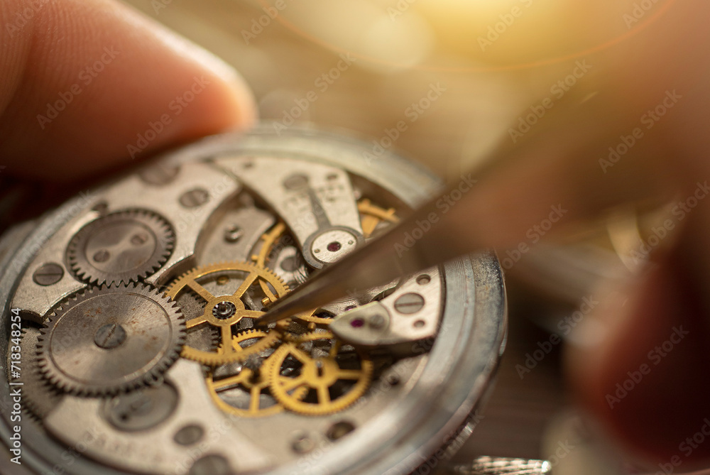 Mechanical watch adjustment, watchmaker workshop