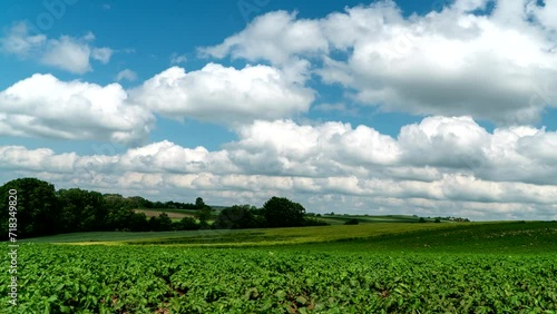 Rural landscape