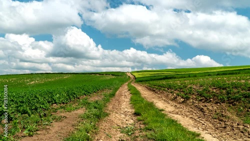 Rural landscape