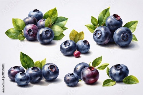 watercolor set of blueberries with leaves in pastel colors on white background