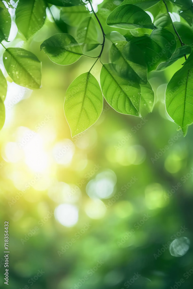 Beautiful nature view of green leaf on blurred greenery background in garden and sunlight. AI generative Beautiful nature view of green leaf on blurred greenery background in garden and sunlight. AI generative