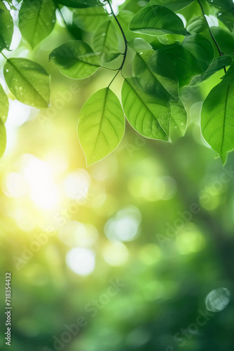 Beautiful nature view of green leaf on blurred greenery background in garden and sunlight. AI generative