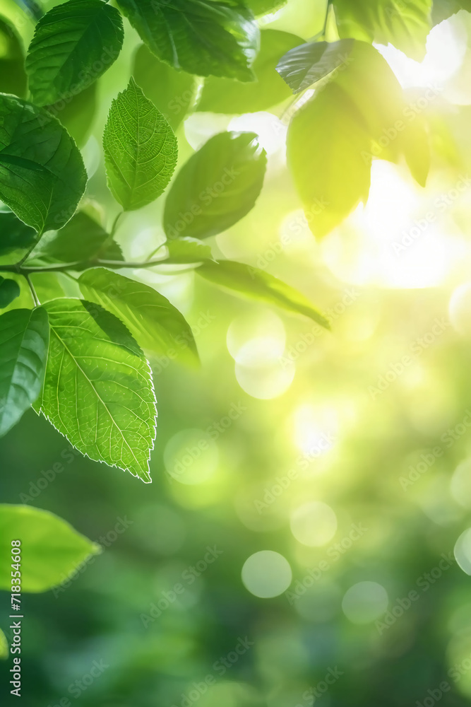 Beautiful nature view of green leaf on blurred greenery background in garden and sunlight. AI generative Beautiful nature view of green leaf on blurred greenery background in garden and sunlight. AI generative