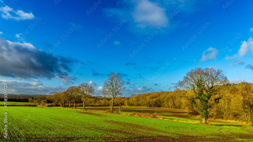 landscape with sky and grass, Cold Hiendley landscape with sky and grass, Cold Hiendley
