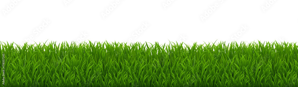 Green Grass Border And Isolated White Background Green Grass Border And Isolated White Background