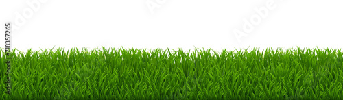 Green Grass Border And Isolated White Background