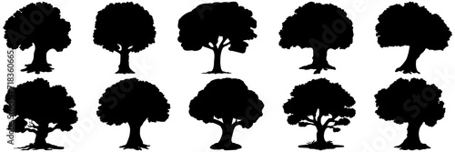 Tree leaf silhouettes set  large pack of vector silhouette design  isolated white background.
