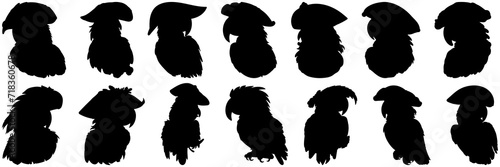 Pirate parrot silhouettes set, large pack of vector silhouette design, isolated white background.