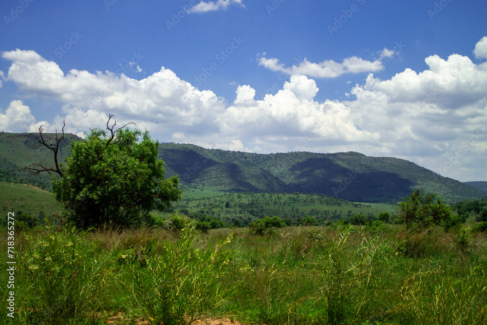 landscape with sky landscape with sky