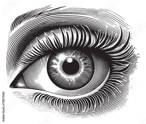 Vintage Vector Eye Illustration - Engraved Style