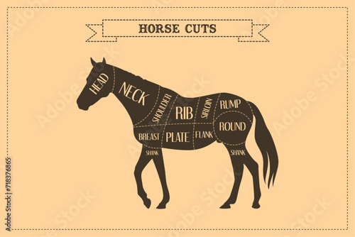 Cuts of Horse. Vector illustration