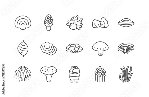 Medicinal mushroom line icon set. Different types of mushroom vector illustration photo