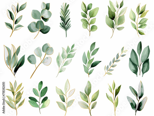 Collection of green watercolor foliage plants clipart on white background. Botanical spring summer leaves illustration. Suitable for wedding invitations  greeting cards  frames and bouquets.