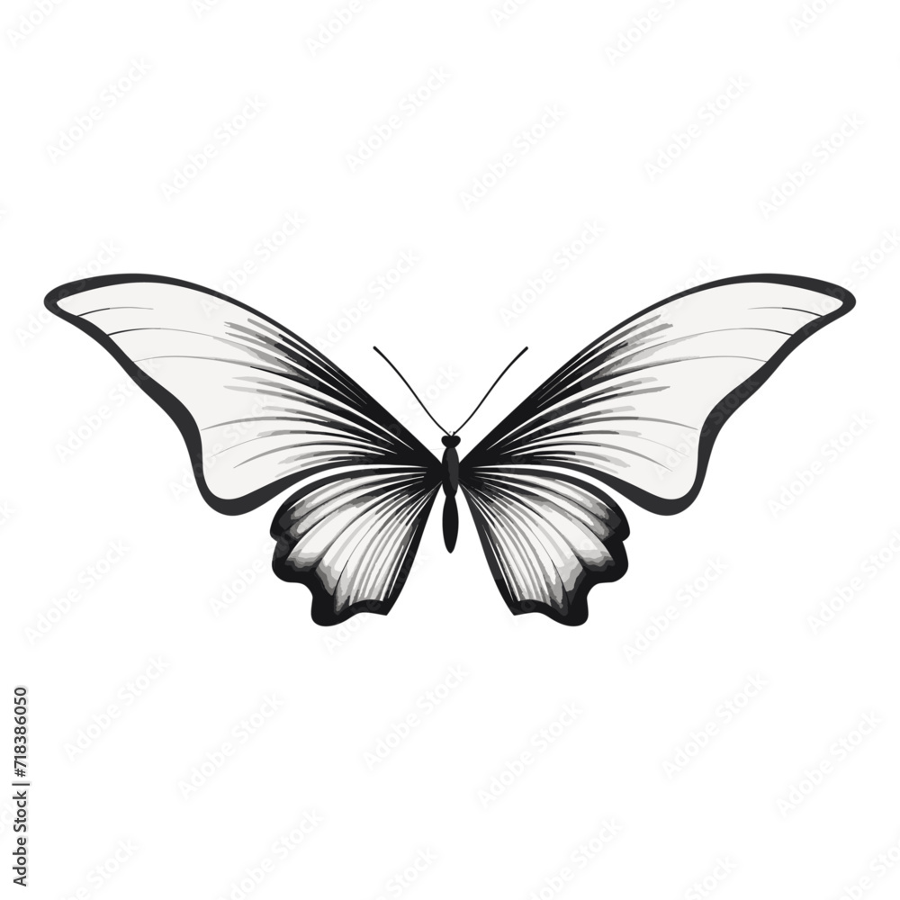 Continuous Line Butterfly - Elegant Artwork Continuous Line Butterfly - Elegant Artwork
