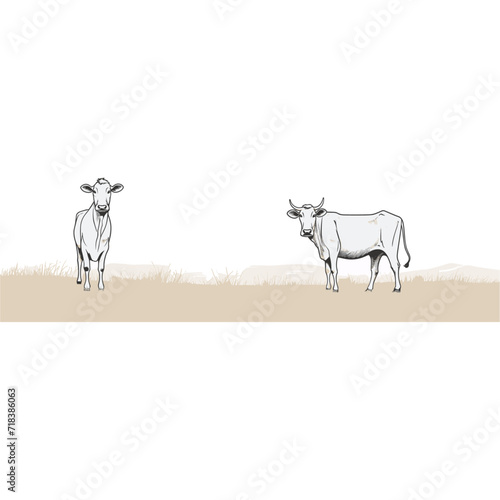 Ground Line Drawing of Cows - Rural Illustration