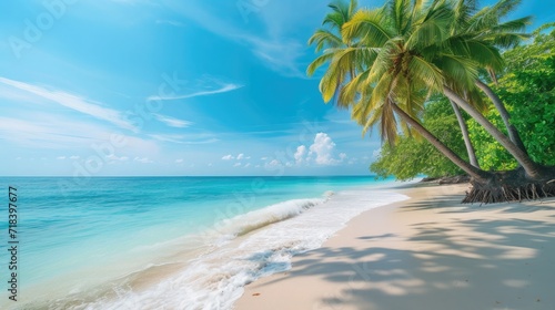 Tranquil beach scene. Exotic tropical beach landscape for background or wallpaper. Design of summer vacation holiday concept.