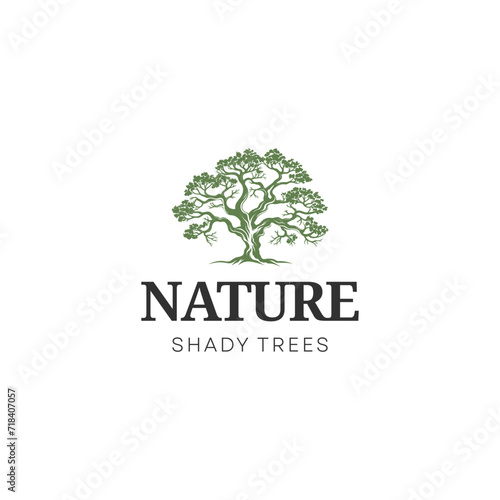 Dry Tree Vector Logo Template. Tree Logo. Black Branch Tree or Naked trees silhouettes