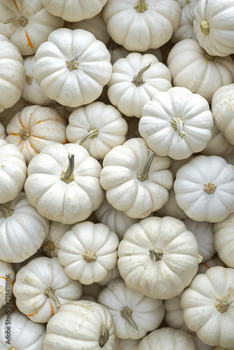 top view pattern of various pumpkins  vegetable autumn background for Halloween