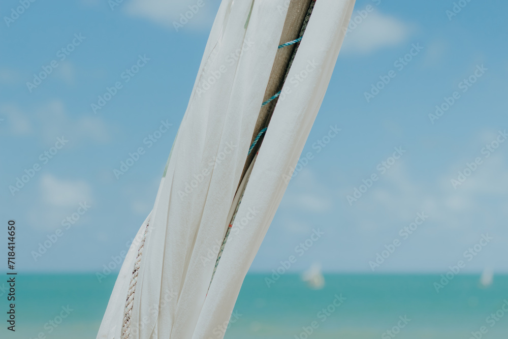 Fototapeta premium Details on the beach.