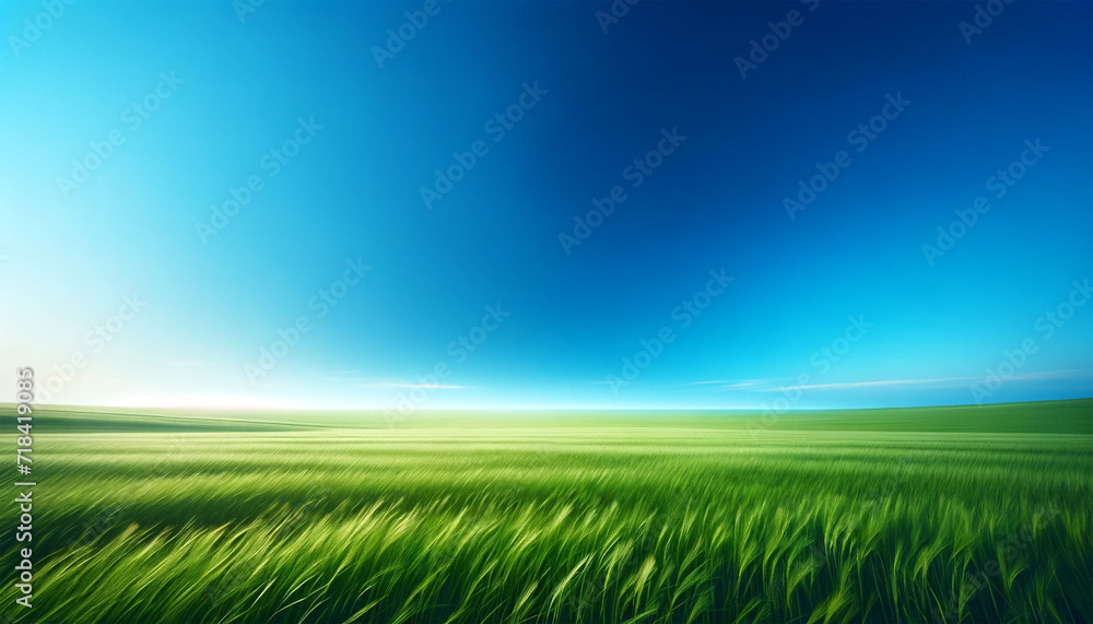 青空の広がる草原