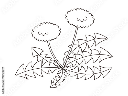 かわいいたんぽぽの線画イラスト