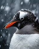Portrait side view of Penguin Gentoo with snow fall AI Generative