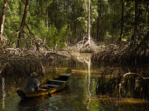 Obraz na płótnie Man rowing a boat in an Amazonian mangrove region