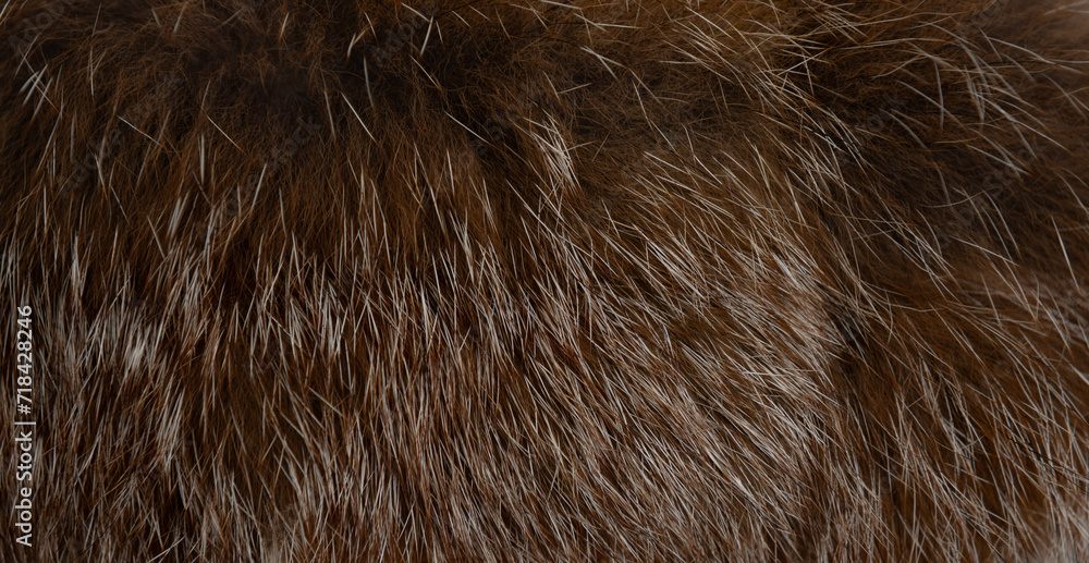 Fototapeta premium Macro close up of fox fur detail texture
