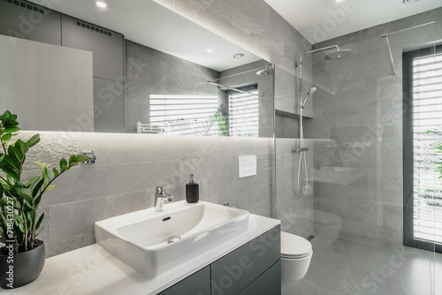 The image depicts a sleek  modern bathroom. It features a white sink  large mirror  glass shower enclosure  and a toilet. A green plant adds a touch of nature.