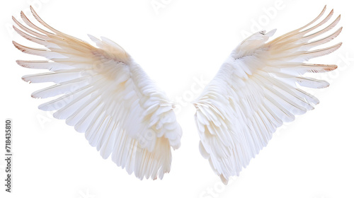 angel wings on transparent background photo