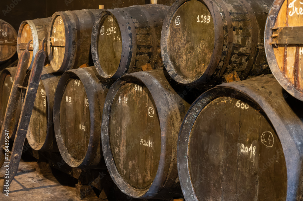 Aging process of cognac spirit in old French oak barrels in cellar in distillery in Cognac white wine region, Charente, Segonzac, Grand Champagne, France